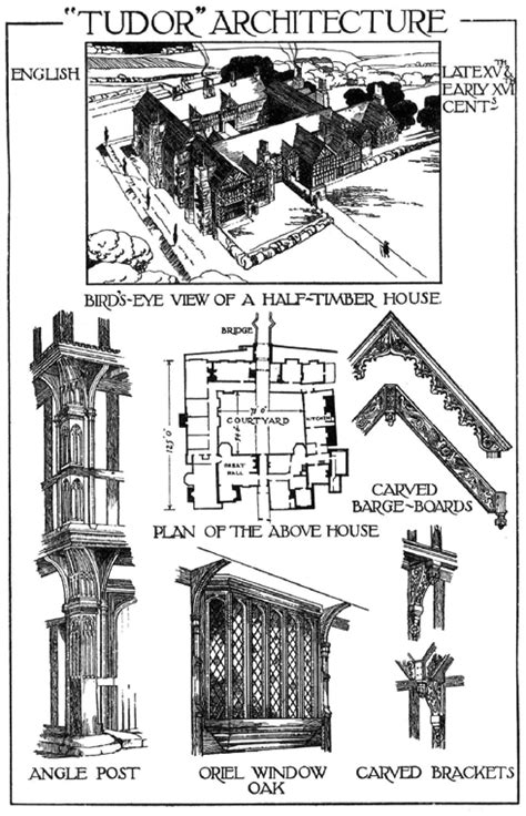 chi è tudor|tudor e shape.